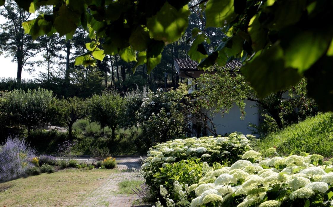 Il Borgo Delle Grazie Vila Ovada Exterior foto